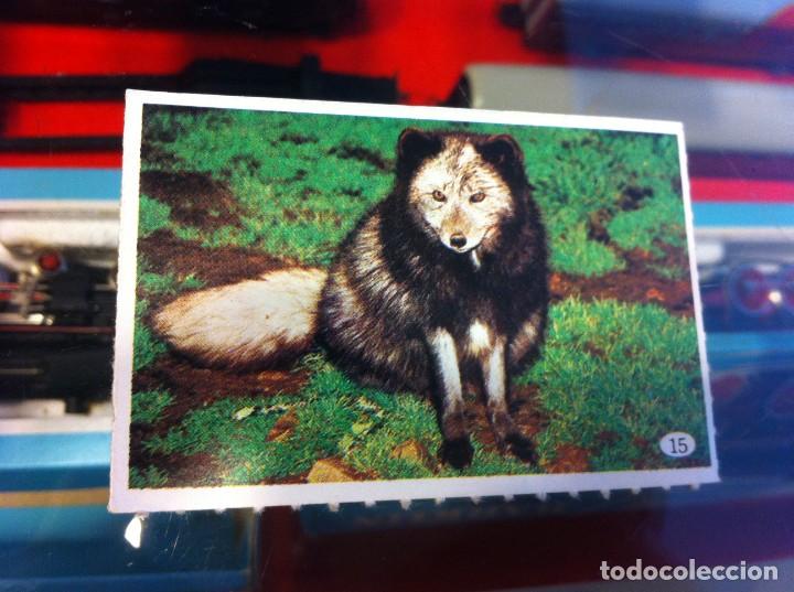 Coleccionismo cromos antiguos: CROMO TELE INDISCRETA. (SIN USO) N&ordm; 15 - Foto 1