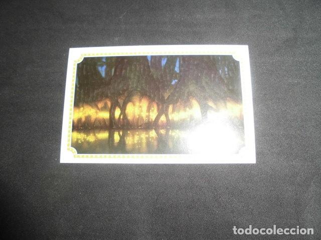 Coleccionismo Cromos antiguos: CROMO STICKER DE: TIANA Y EL SAPO - N&ordm; 118 - SIN PEGAR - ALBUM DE TIANA Y EL SAPO - PANINI 2009.