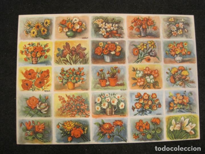 Coleccionismo cromos antiguos: FLORES-LAMINA CON 25 CROMOS-VER FOTOS-(K-3536)