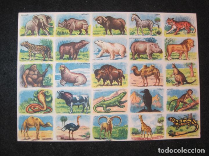 Coleccionismo cromos antiguos: ANIMALES-LAMINA CON 25 CROMOS-VER FOTOS-(K-3538)