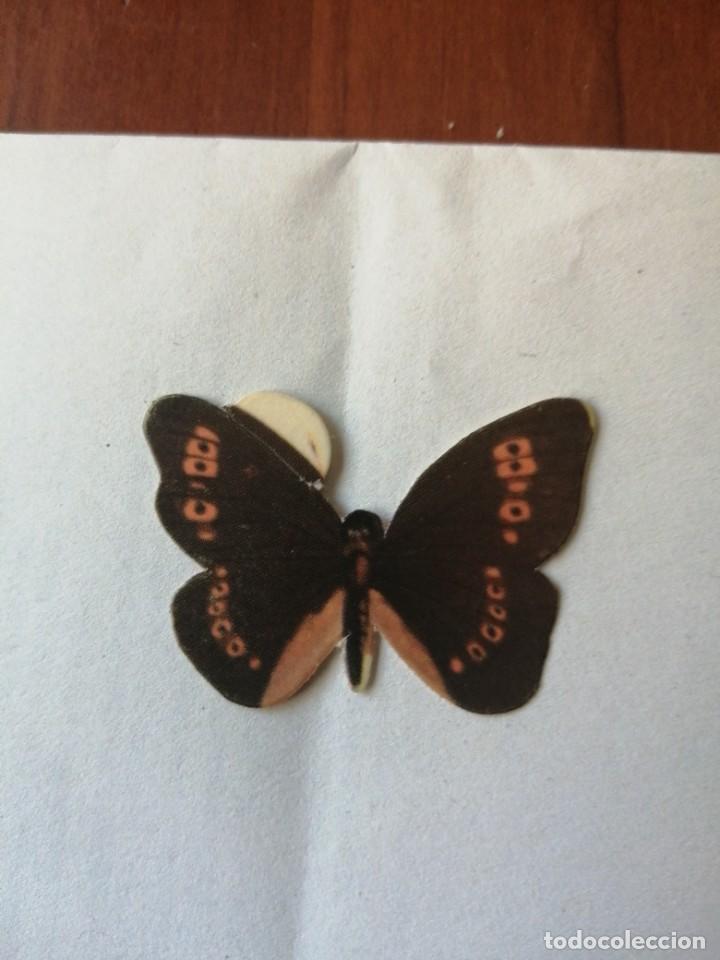 Sammeln alte Sammelbilder: cromo mariposa DONUTS n&ordm; 4 SATIRO CETO SATYRUS CETO