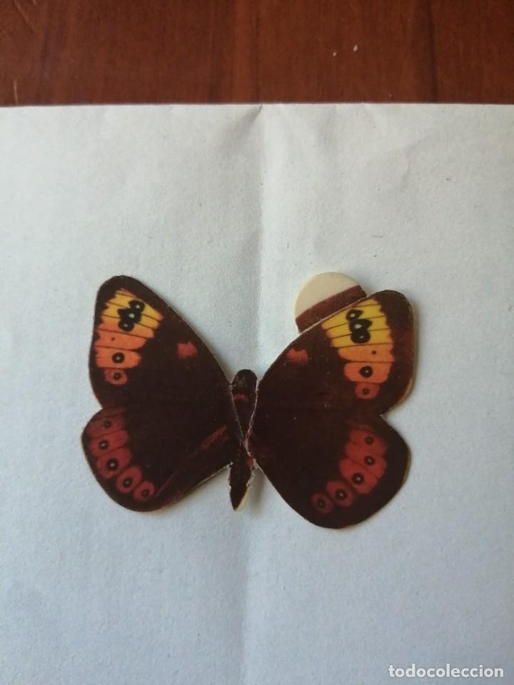 Coleccionismo Cromos antiguos: cromo mariposa DONUTS n&ordm; 37 SATIRO EPISTIGNO SATYRUS EPISTYGNE