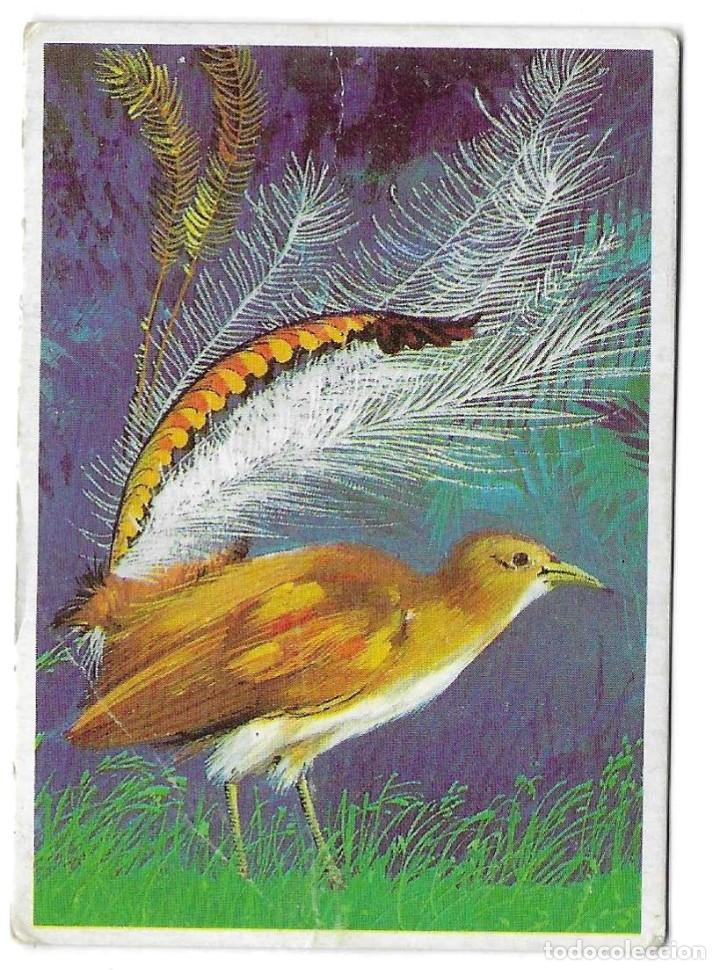 Coleccionismo cromos antiguos: DUNKIN -- LAS AVES N&ordm; 6 -- - Foto 1