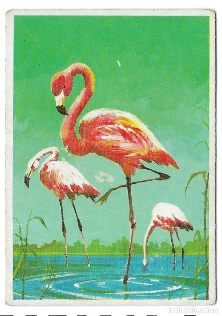 Coleccionismo cromos antiguos: DUNKIN -- LAS AVES N&ordm; 3 -- - Foto 1