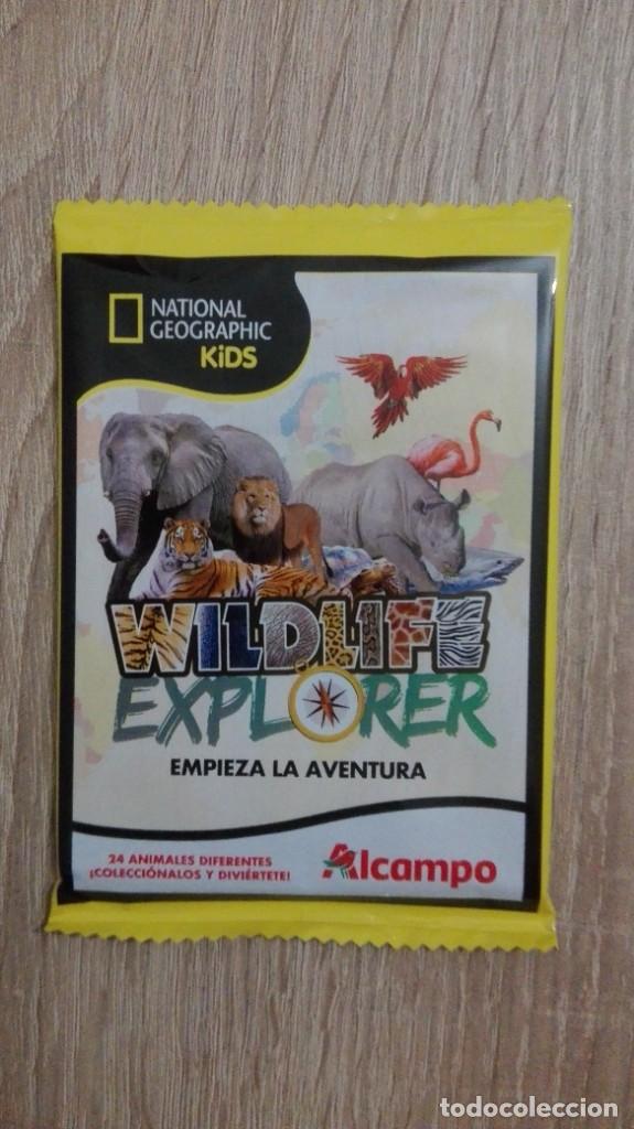 Colecionismo Cromos antigos: SOBRE SIN ABRIR, NATIONAL GEOGRAPHIC KIDS-WILDLIFE EXPLORER-JAKALA-ALCAMPO-A&Ntilde;O 2021.
