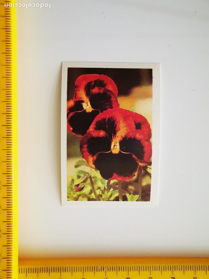 Sammeln alte Sammelbilder: CROMO SIN PEGAR DEL ALBUM FHER UN, DOS, TRES... RESPONDA OTRA VEZ 86