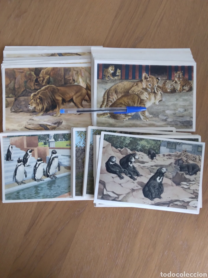 67 cromos grandes de animales