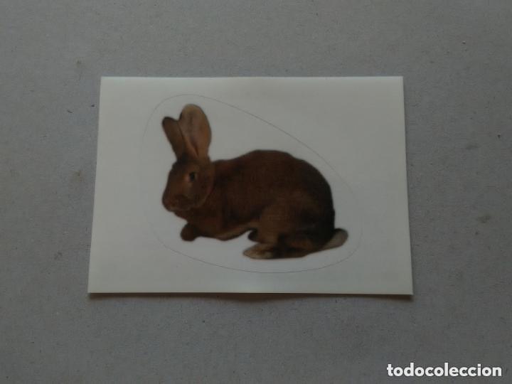 Coleccionismo cromos antiguos: Animales 2014 n&ordm; 368 - Foto 1