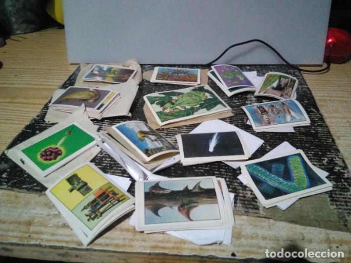 Colecionismo Cromos antigos: Gran lote de cromos NESTLE (152cromos )( ver fotos )