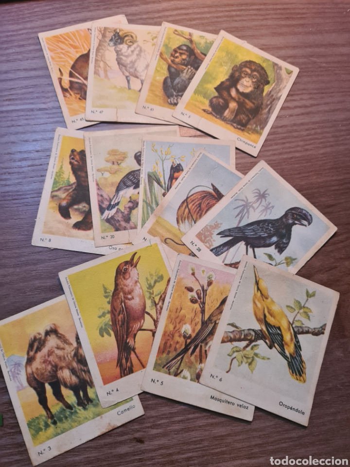 Coleccionismo cromos antiguos: 13 CROMOS ANIMALES CEREGUMIL - Foto 1