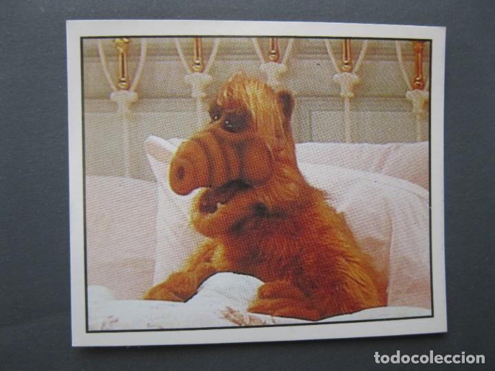 Coleccionismo cromos antiguos: ALF - CROMO N&ordm; 143 - PANINI - NUNCA PEGADO. - Foto 1