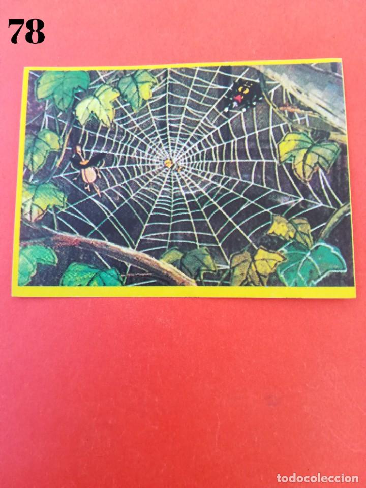 Coleccionismo cromos antiguos: Cromo n.78 la abeja maya - Danone - Sin pegar - Foto 1