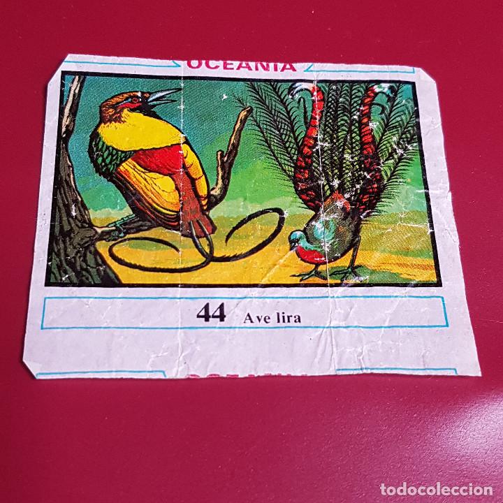 Coleccionismo cromos antiguos: DUNKIN - OCEANIA - UN CROMO - 44 - Foto 1