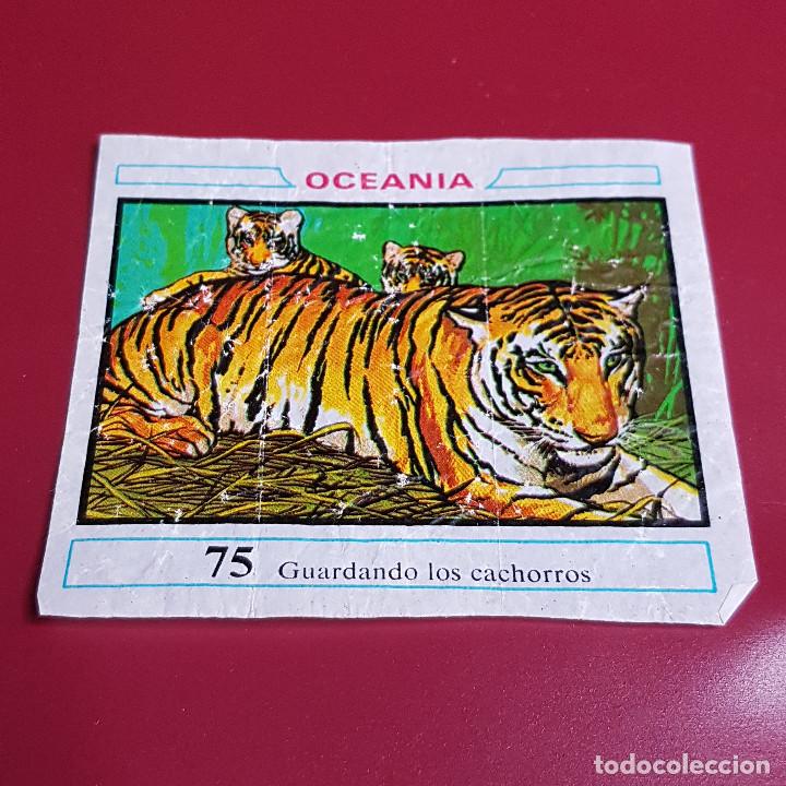 Coleccionismo cromos antiguos: DUNKIN - OCEANIA - UN CROMO - 75 - Foto 1