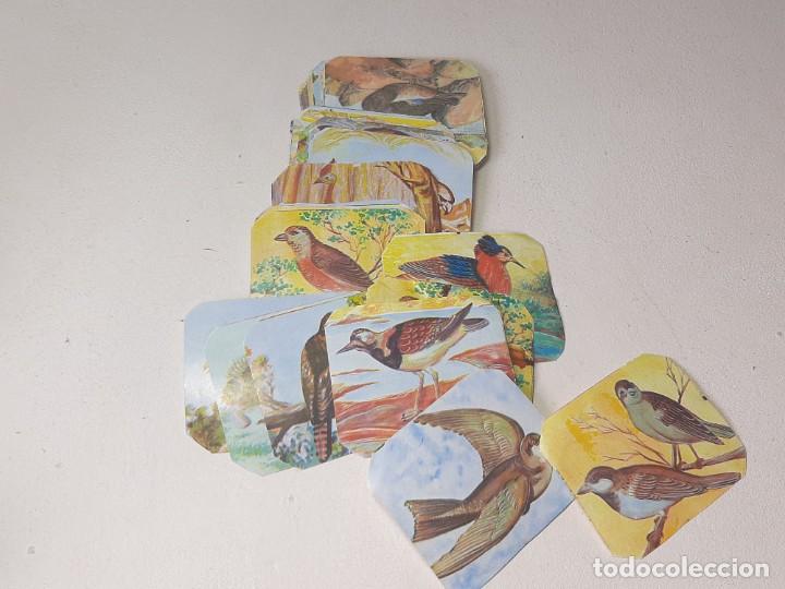 Collezionismo Figurine antiche: ANTIGUO LOTE DE 89 CROMOS ALBUM LA VIDA DE LAS AVES EDICIONES COSTA A&Ntilde;O 1968 SIN PEGAR MUY DIFICILES