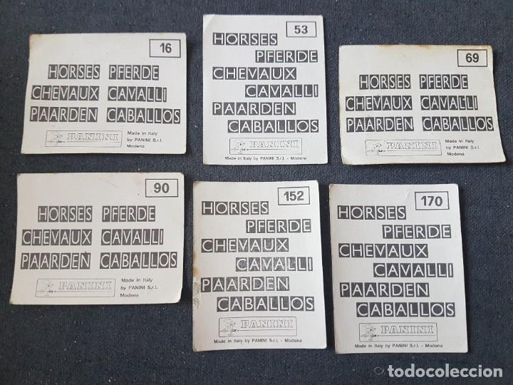 Coleccionismo cromos antiguos: Cromos colecci&oacute;n Caballos de Panini - Foto 2