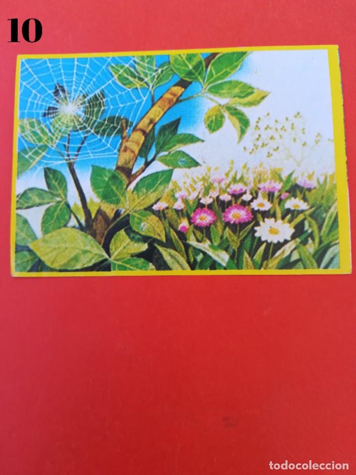 Coleccionismo cromos antiguos: Cromo n.10 - la abeja maya - DANONE sin pegar - Foto 1