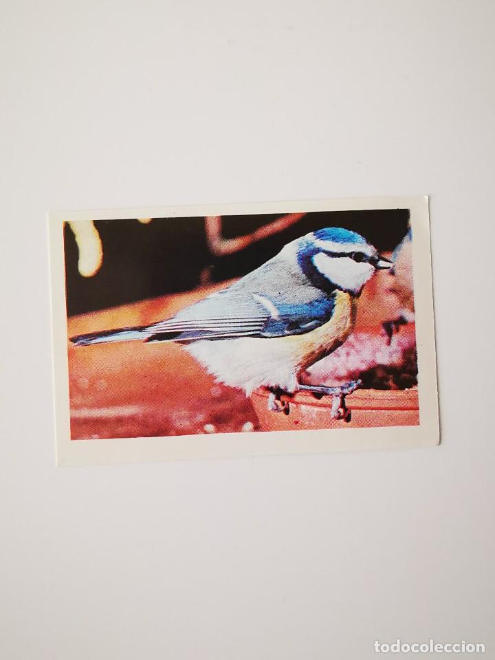 Sammeln alte Sammelbilder: CROMO SIN PEGAR DEL ALBUM FHER UN, DOS, TRES... RESPONDA OTRA VEZ 89
