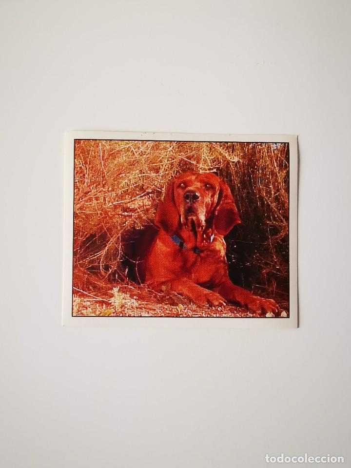 Collectionnisme Cartes &agrave; collectionner anciennes: CROMO PEGATINA SIN PEGAR DEL ALBUM PANINI SABAN VR TROOPERS 1995 SIMILAR POWER RANGERS 26