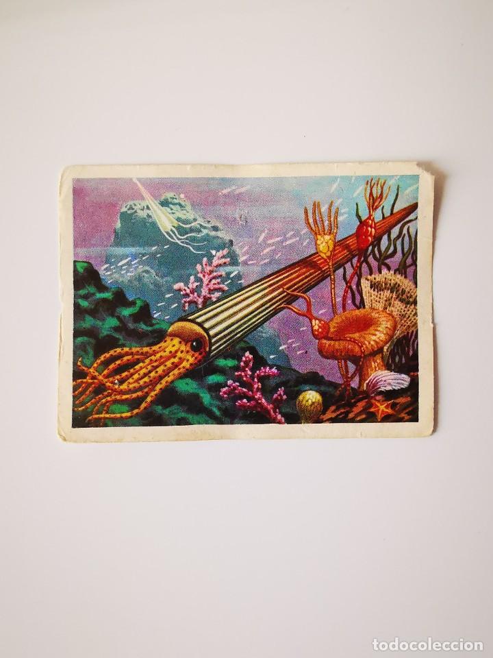 Collectable Antique Stickers: CROMO SIN PEGAR DEL ALBUM CHOCOLATES TORRAS RUIZ ROMERO HACE MILLONES DE A&Ntilde;OS 29