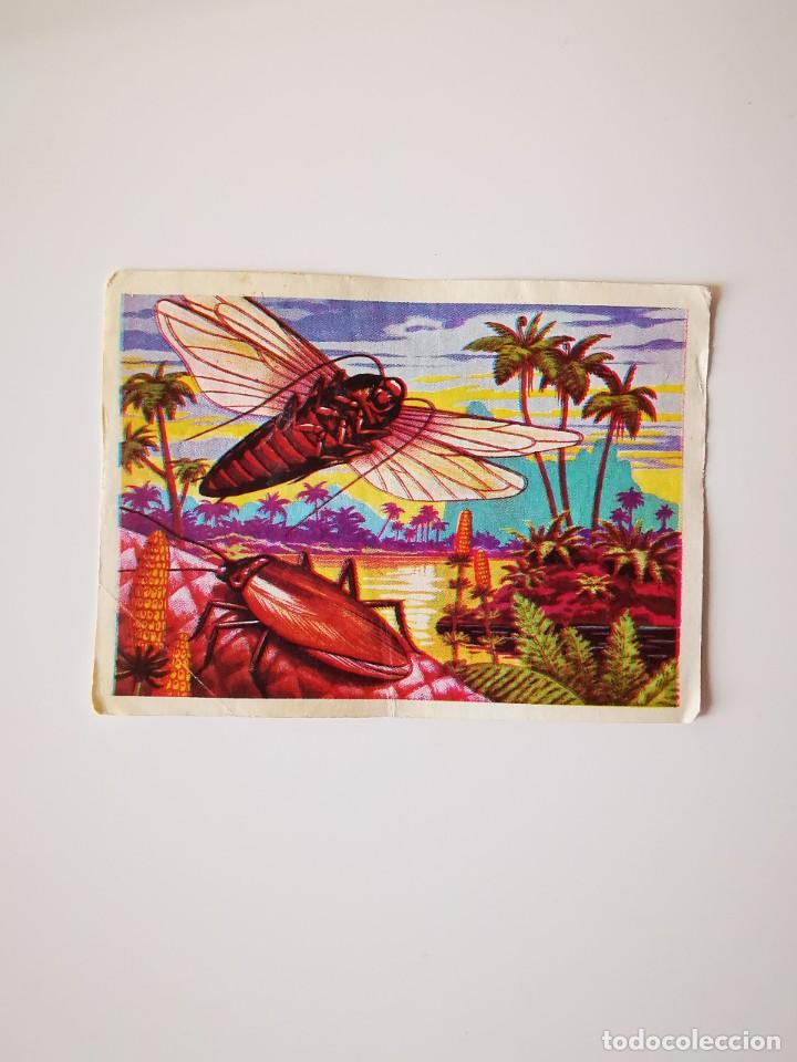 Coleccionismo Cromos antiguos: CROMO SIN PEGAR DEL ALBUM CHOCOLATES TORRAS RUIZ ROMERO HACE MILLONES DE A&Ntilde;OS 50