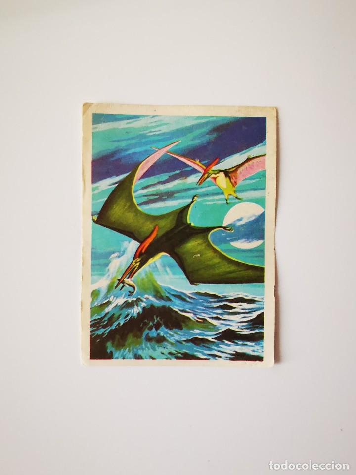 Collectable Antique Stickers: CROMO SIN PEGAR DEL ALBUM CHOCOLATES TORRAS RUIZ ROMERO HACE MILLONES DE A&Ntilde;OS 80