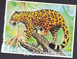Collezionismo Figurine antiche: CROMO BOLLYCAO CON TRASERA FAUNA EN PELIGRO N&ordm; 45