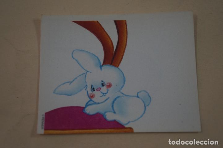 Coleccionismo cromos antiguos: CROMO DE PEQUE MASCOTAS SIN PEGAR N&ordm; 118 A&Ntilde;O 1994 DEL ALBUM EL MUNDO DE LAS PEQUE MASCOTAS DE MERL&Iacute;N