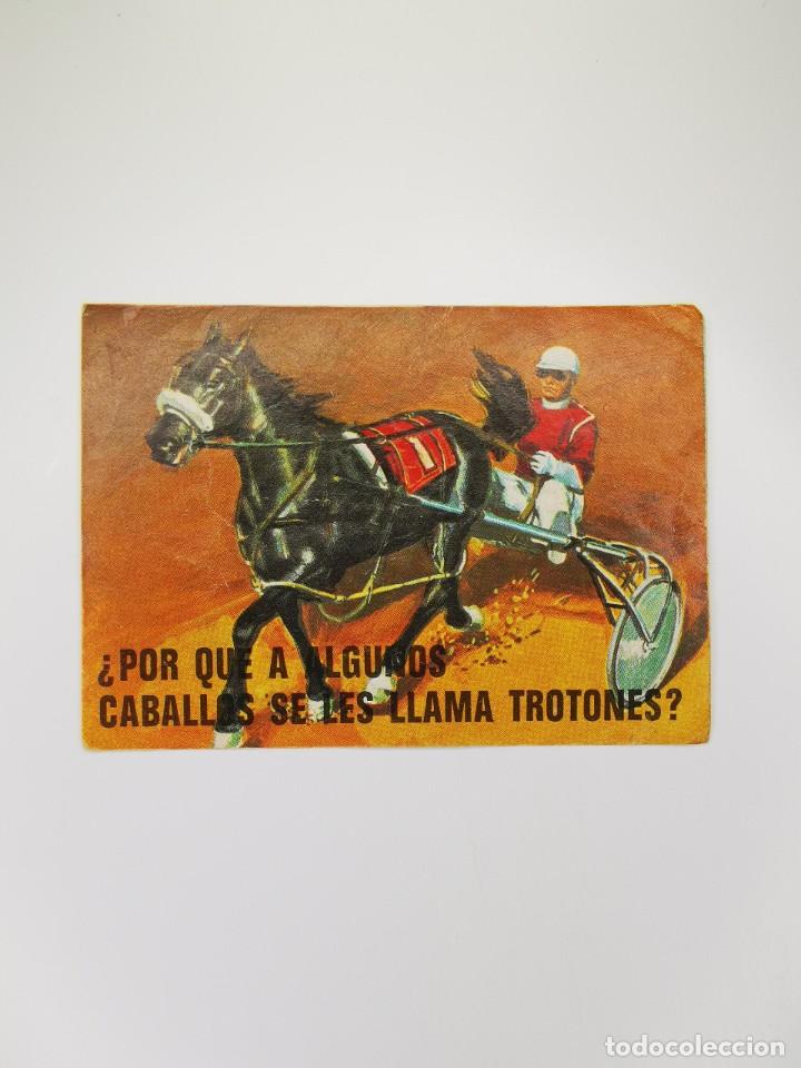 Colecionismo Cromos antigos: CROMO SIN PEGAR DEL ALBUM BIMBO EL PORQUE DE LAS COSAS 3 157 POR QUE A CABALLOS LES LLAMA TROTONES