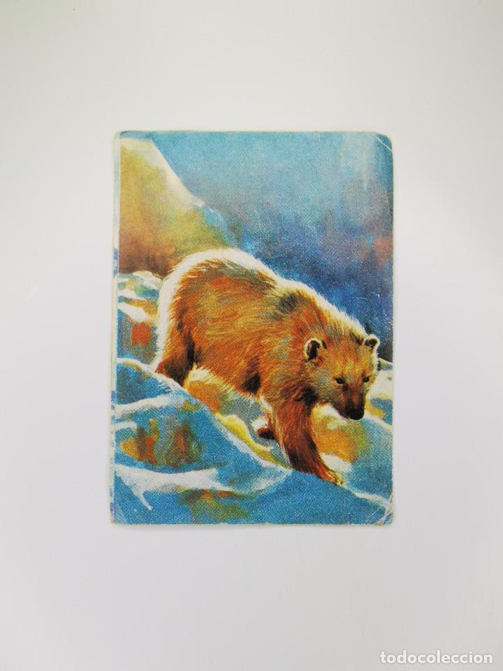 Colecionismo Cromos antigos: CROMO SIN PEGAR DEL ALBUM BIMBO EL PORQUE DE LAS COSAS 3 50 POR QUE OSOS POLARES PELO PLANTA PIES