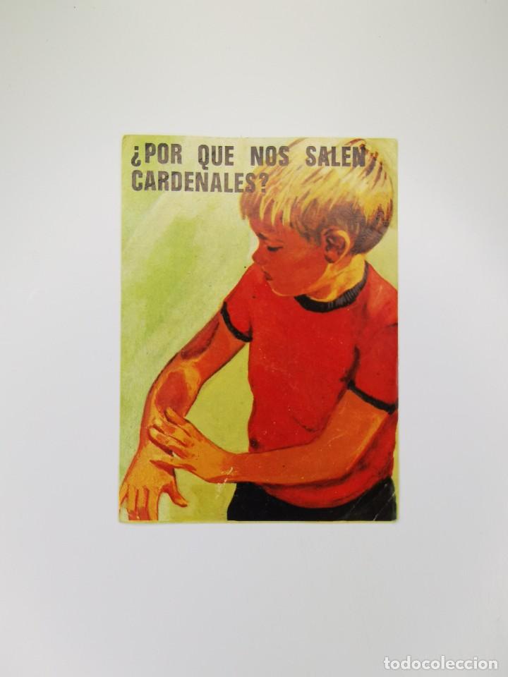 Colecionismo Cromos antigos: CROMO SIN PEGAR DEL ALBUM BIMBO EL PORQUE DE LAS COSAS 3 42 POR QUE NOS SALEN CARDENALES