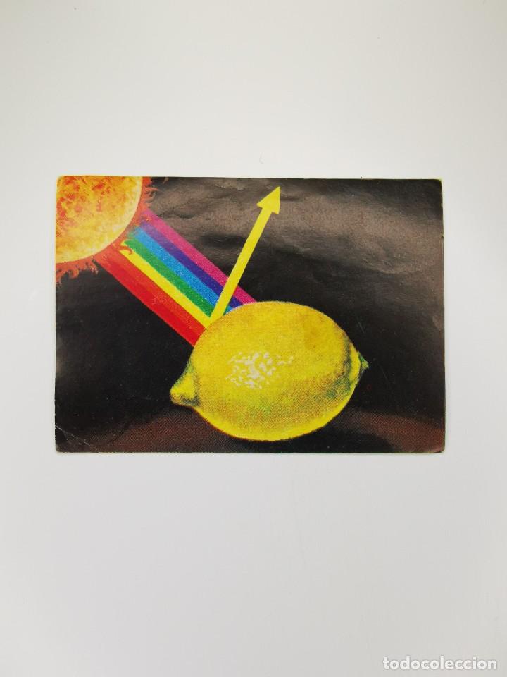 Colecionismo Cromos antigos: CROMO SIN PEGAR DEL ALBUM BIMBO EL PORQUE DE LAS COSAS 3 212 POR QUE VEMOS LIMON AMARILLO