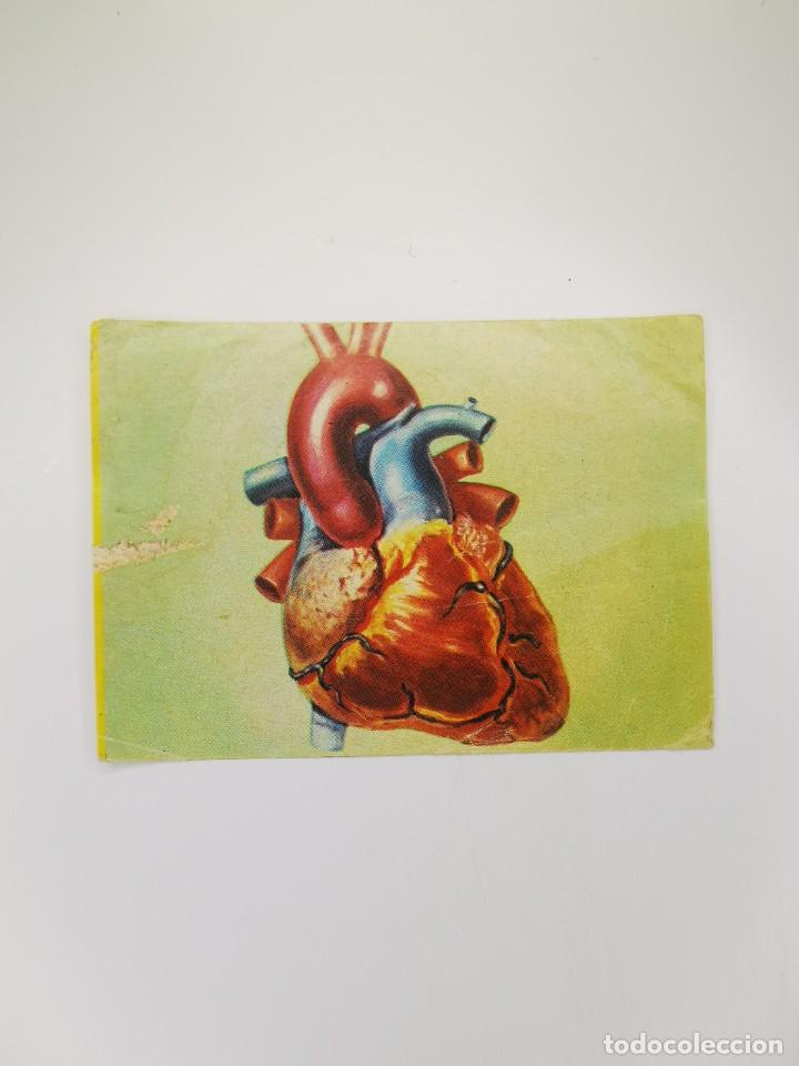 Collezionismo Figurine antiche: CROMO SIN PEGAR DEL ALBUM BIMBO EL PORQUE DE LAS COSAS 3 138 SABIAS QUE CORAZON TRABAJO MAQUINA
