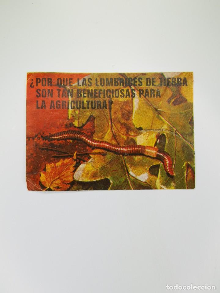 Collezionismo Figurine antiche: CROMO SIN PEGAR DEL ALBUM BIMBO EL PORQUE DE LAS COSAS 3 55 POR QUE LOMBRICES BENEFICIOSAS