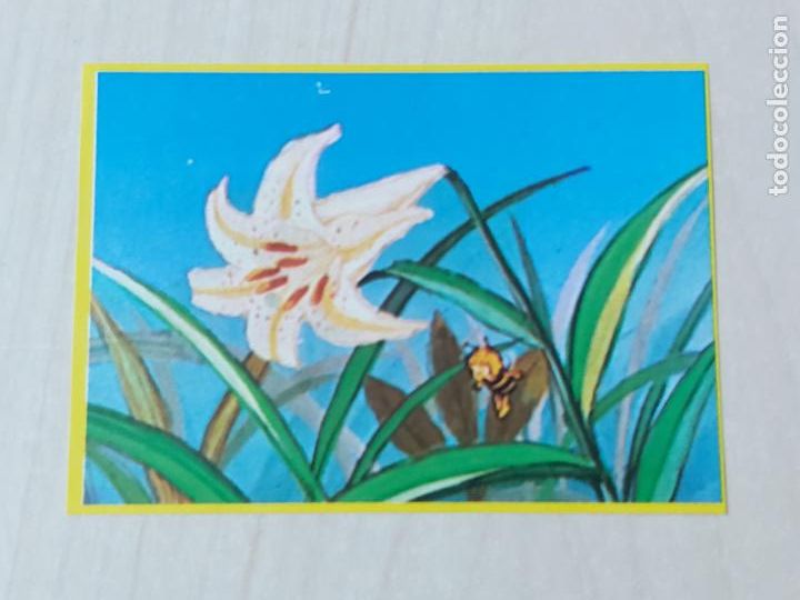 Coleccionismo Cromos antiguos: CROMO N&ordm; 27 DEL ALBUM LAS AVENTURAS DE LA ABEJA MAYA - DANONE - CROMO SIN PEGAR -