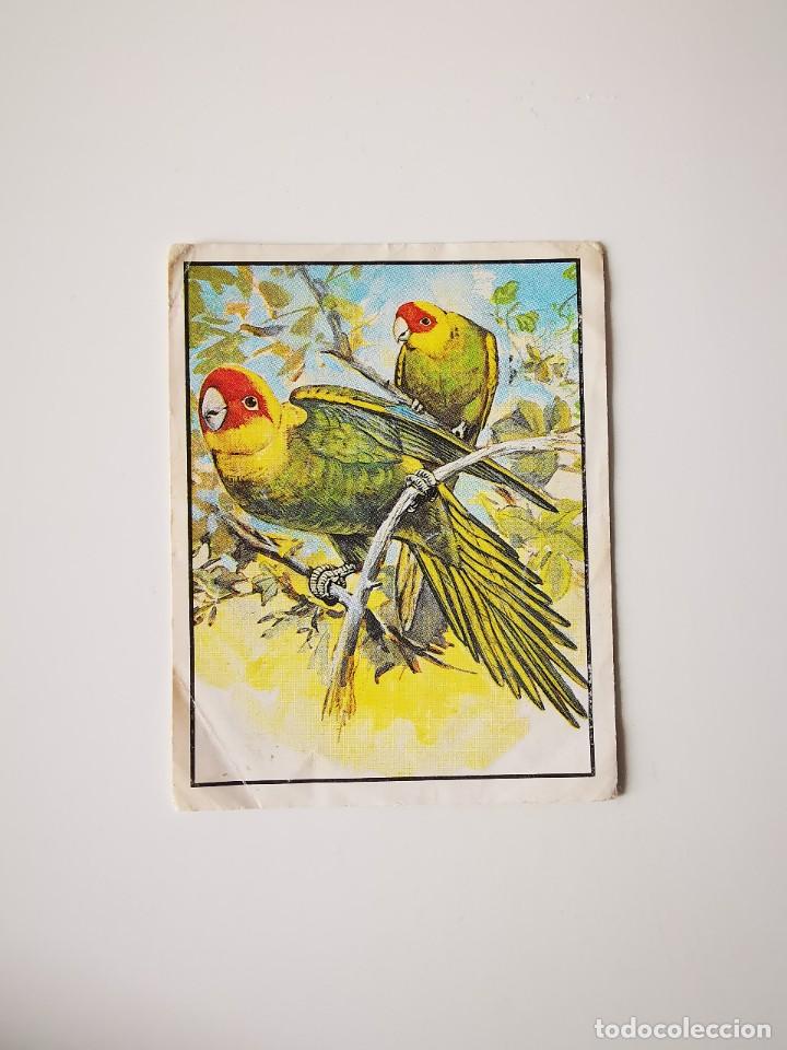 Coleccionismo cromos antiguos: CROMO PEGATINA SIN PEGAR DEL ALBUM 1988 PANINI WWF THREATENED ANIMALS ANIMALES EN PELIGRO 307