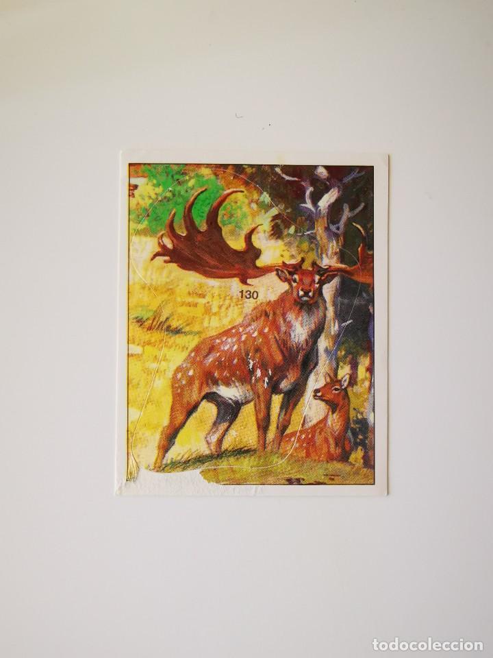 Collectionnisme Cartes &agrave; collectionner anciennes: CROMO PEGATINA SIN PEGAR DEL ALBUM PANINI 1992 DINOSAURIOS ANIMALES PREHISTORICOS 130
