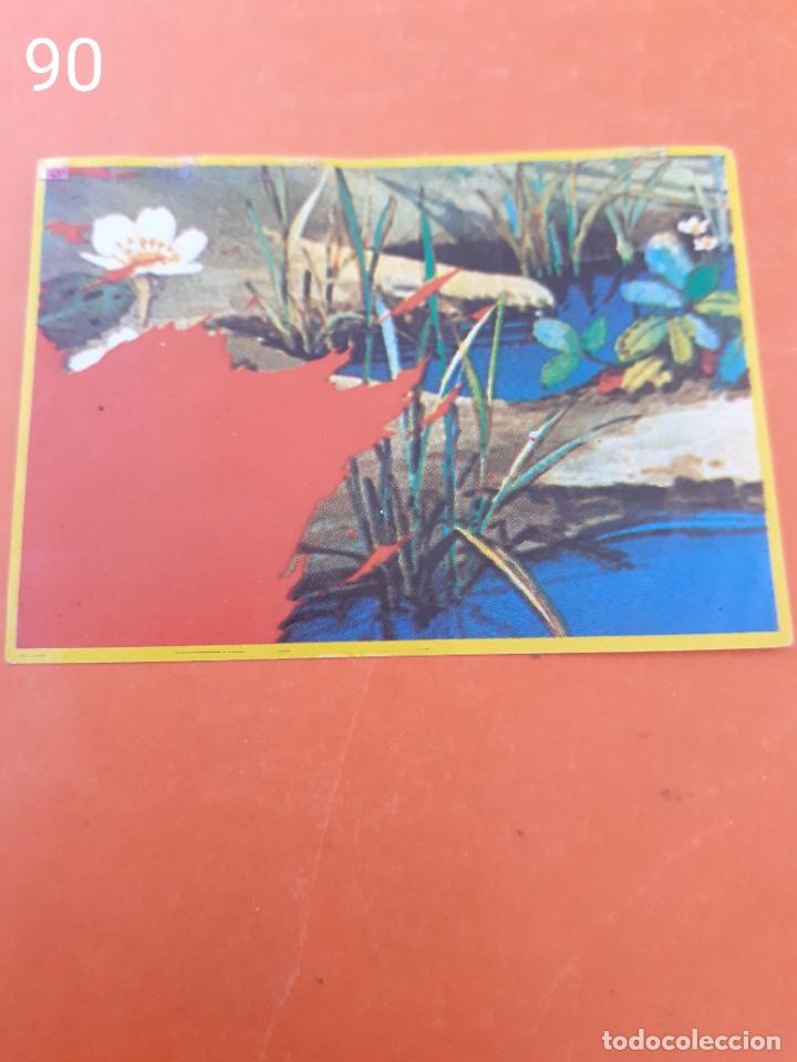 Coleccionismo cromos antiguos: Cromo n.90 abeja maya - sin pegar - Foto 1
