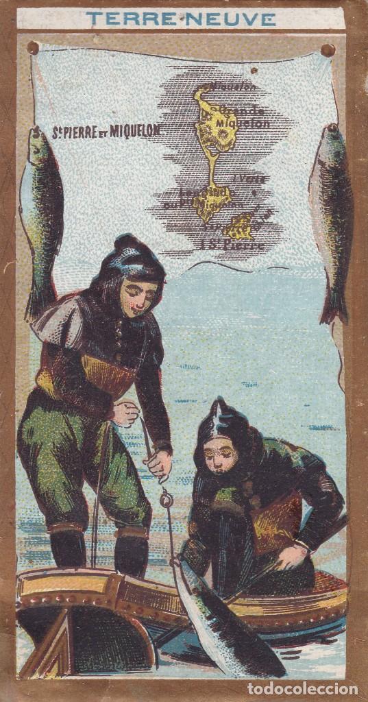 Coleccionismo cromos antiguos: cromo Terre Neuve Sta Pierre de Miquelon Francia 5,5x10,5 ctms.