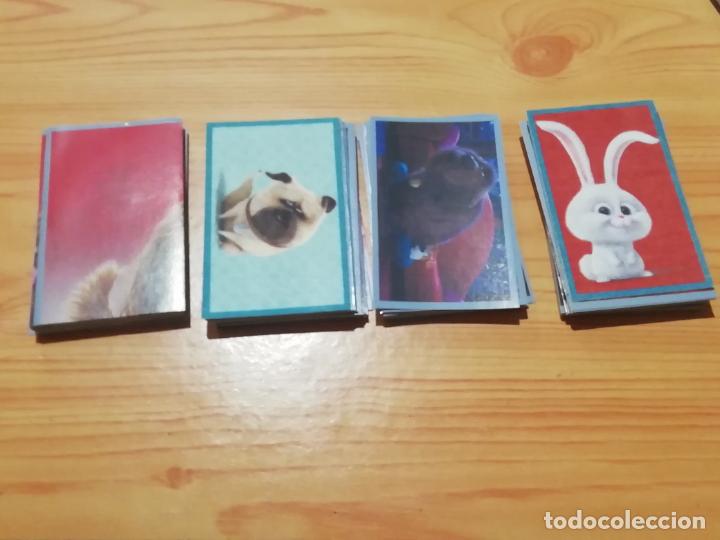 Coleccionismo cromos antiguos: COLECCI&Oacute;N COMPLETA DE CROMOS DE MASCOTAS - Foto 2