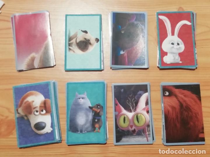 Coleccionismo cromos antiguos: COLECCI&Oacute;N COMPLETA DE CROMOS DE MASCOTAS - Foto 1