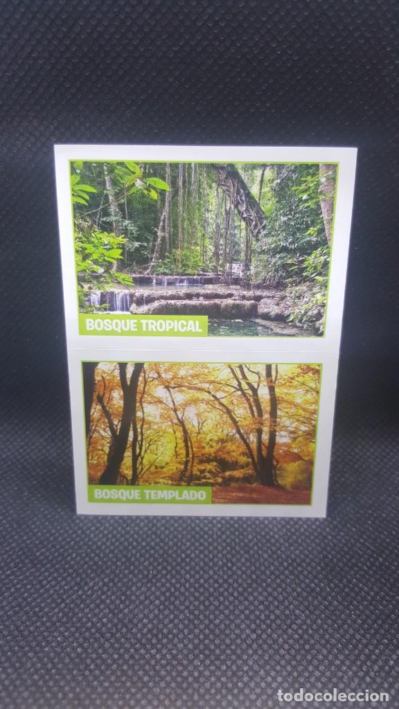 Coleccionismo cromos antiguos: PANINI ANIMALES 2019 - N&ordm; 21 - Foto 1
