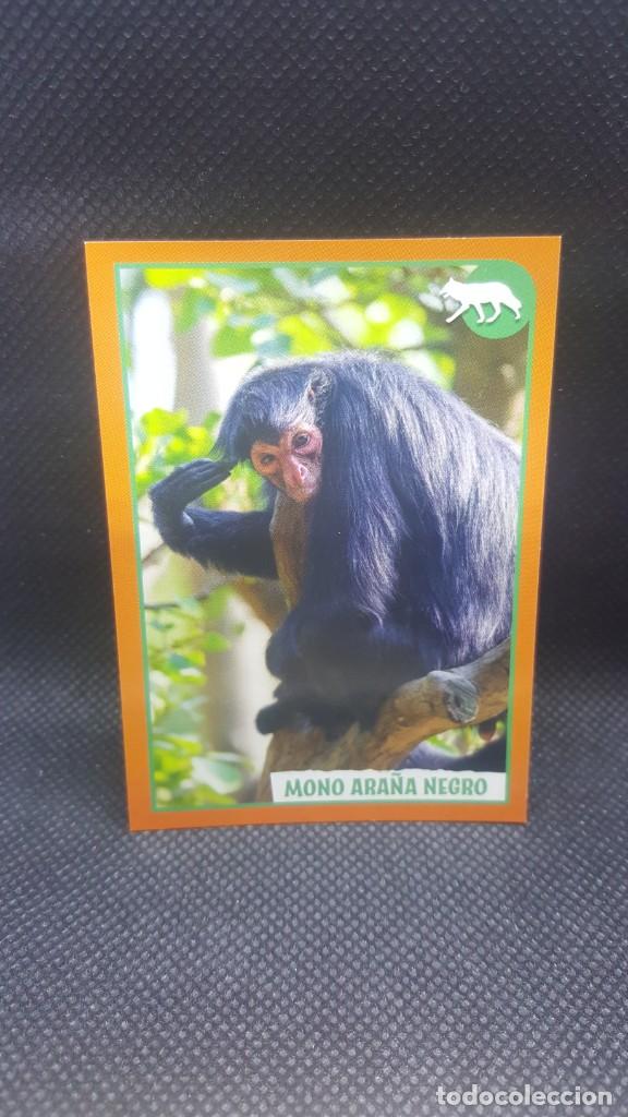 Coleccionismo cromos antiguos: PANINI ANIMALES 2019 - N&ordm; 30 - Foto 1