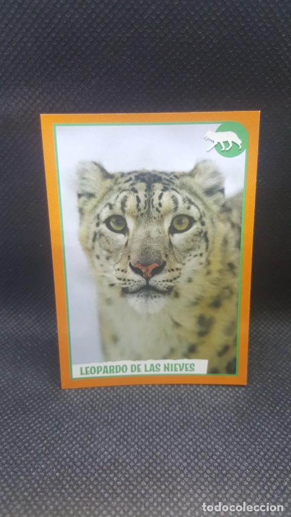 Coleccionismo cromos antiguos: PANINI ANIMALES 2019 - N&ordm; 32 - Foto 1