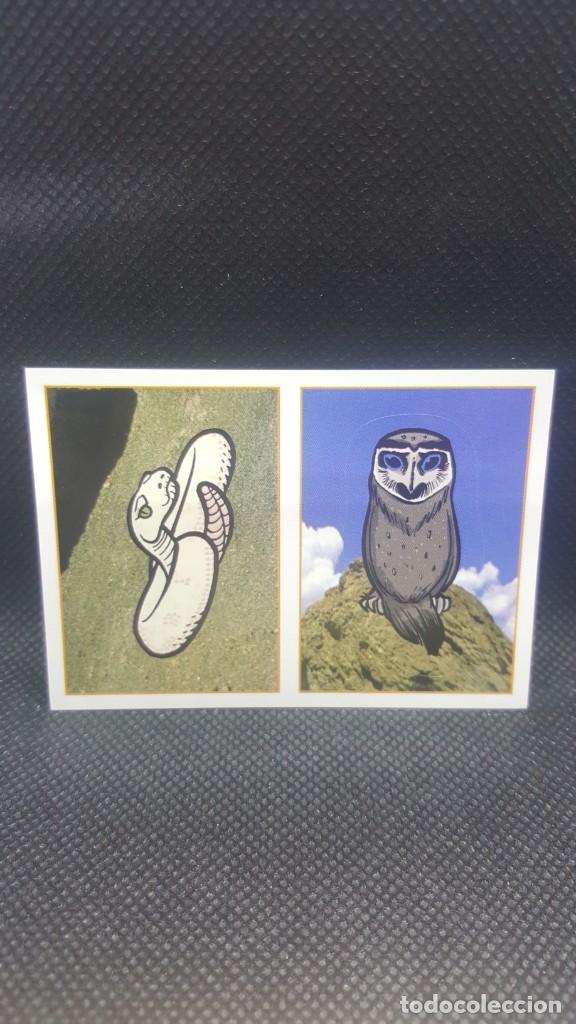 Coleccionismo cromos antiguos: PANINI ANIMALES 2019 - N&ordm; 36 - Foto 1