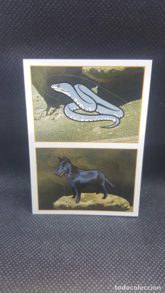 Coleccionismo cromos antiguos: PANINI ANIMALES 2019 - N&ordm; 37 - Foto 1