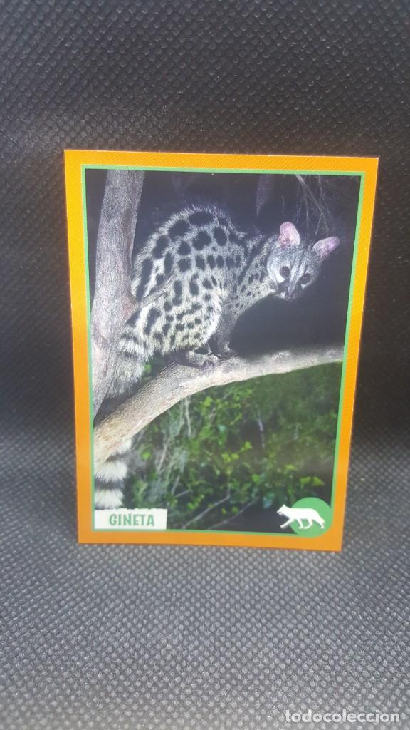 Coleccionismo cromos antiguos: PANINI ANIMALES 2019 - N&ordm; 39 - Foto 1