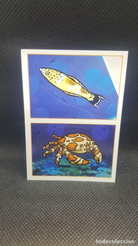 Coleccionismo cromos antiguos: PANINI ANIMALES 2019 - N&ordm; 42 - Foto 1