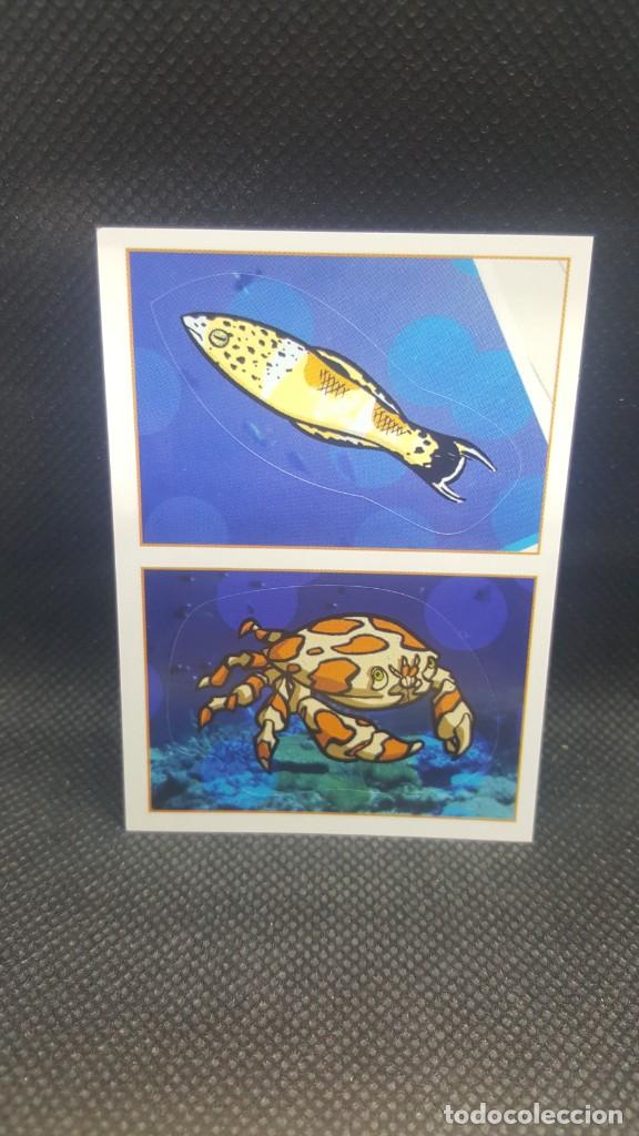 Coleccionismo cromos antiguos: PANINI ANIMALES 2019 - N&ordm; 42 - Foto 1