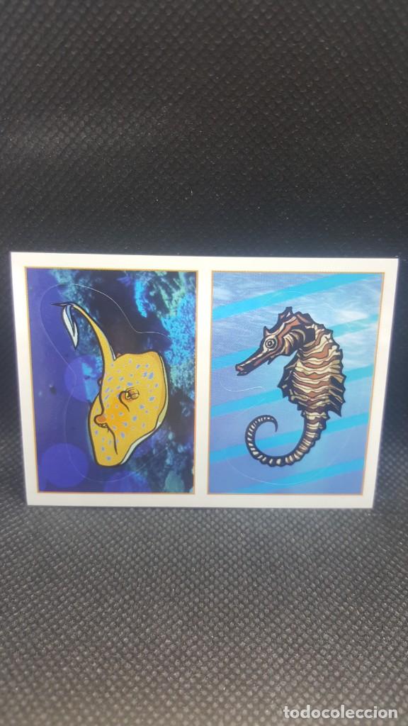 Coleccionismo cromos antiguos: PANINI ANIMALES 2019 - N&ordm; 43 - Foto 1